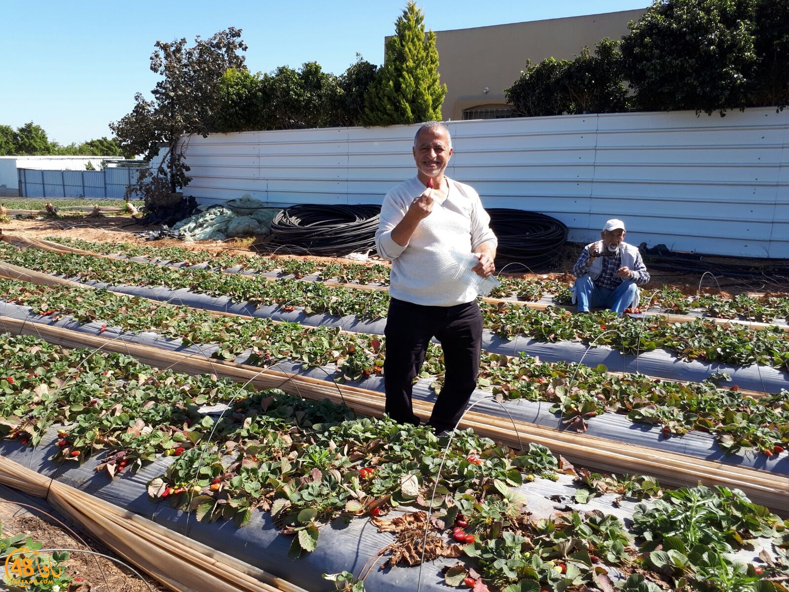 ab7bableaqsaa3 (18).jpg